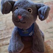 "Zokni" kutyus,újszerű plüss