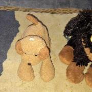 kutyusok,egyben ennyi