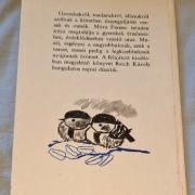 régi gyerekkönyv
